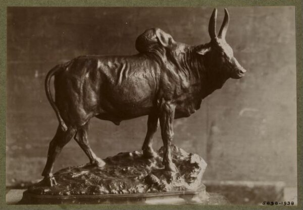 unknown, Photograph