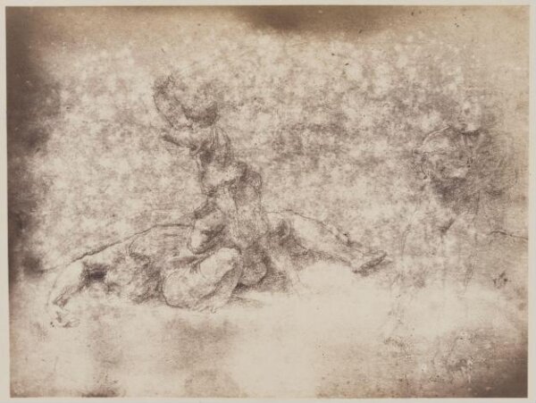 Fratelli Alinari, Photograph