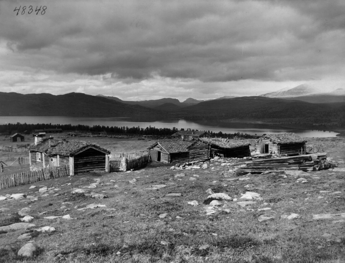 Anders Beer Wilse, Seterdrift, Klevstadseteren, Furusjoen, Mot Rondane