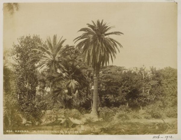 Unknown, Photograph