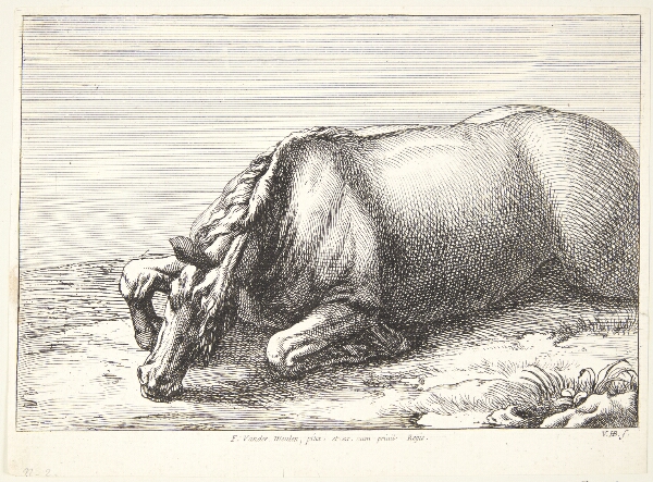 Jan van Huchtenburg, Falden hest