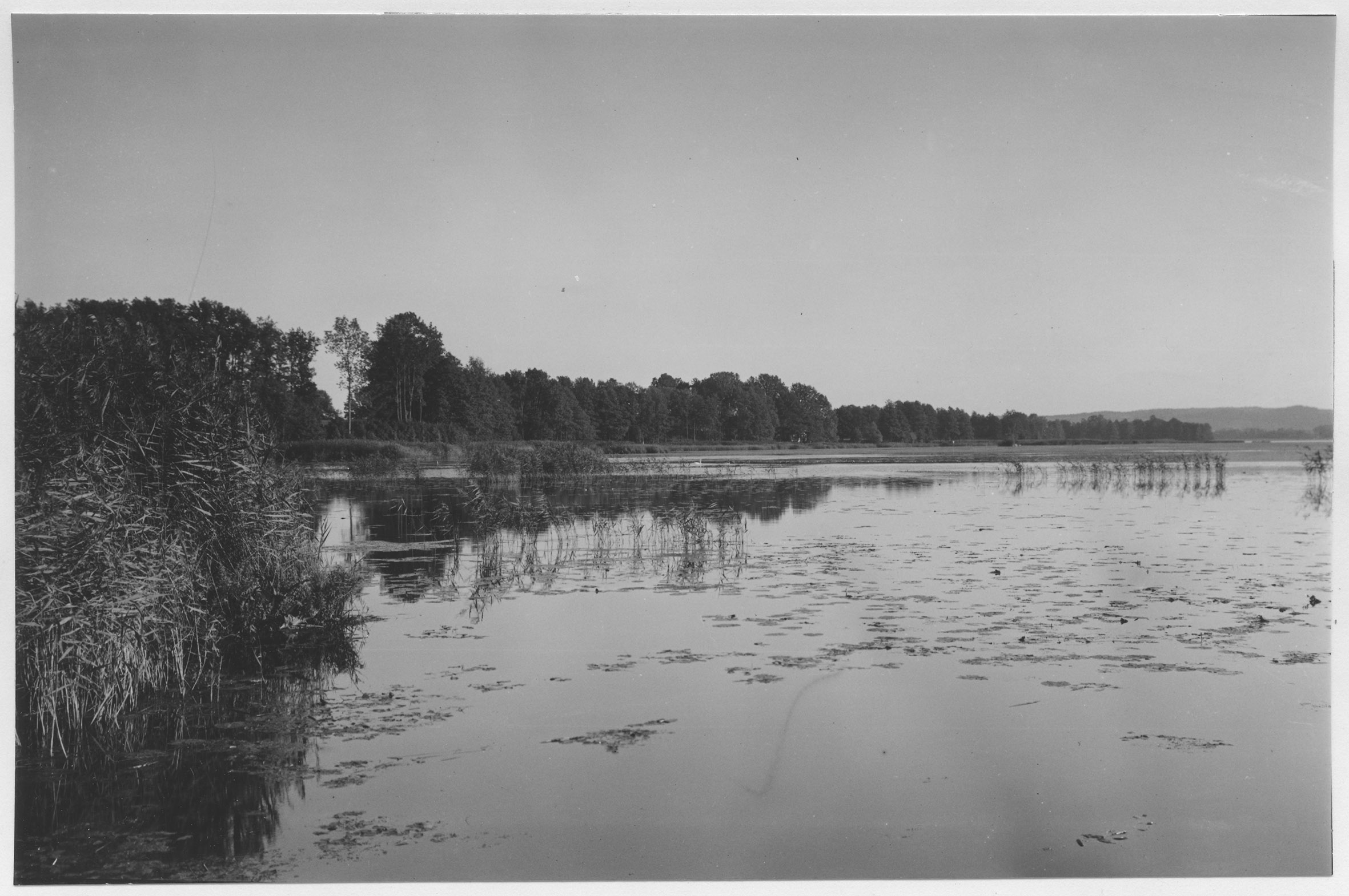 Mårten Sjöbeck, Vibysjön