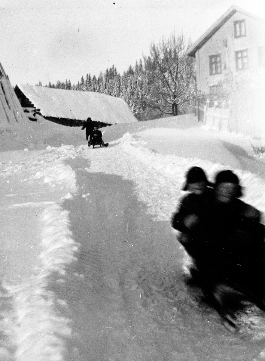 Anno Domkirkeodden, Simenstad gard i Veldre. Bnr. 138-1. Barnelek, vinteraktivitet, aking på kjelke. Ca. 1926. Navn se 0412-15597.