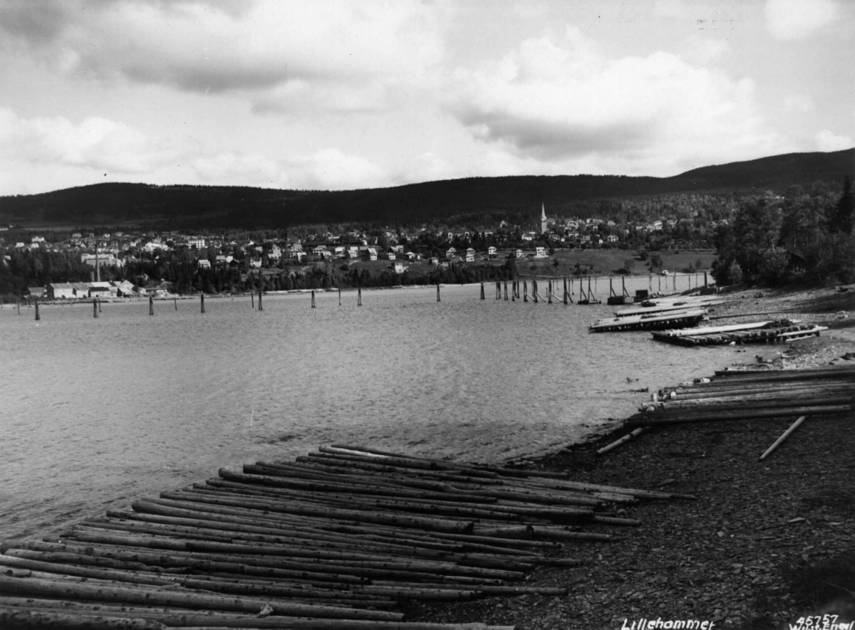 Anders Beer Wilse, Skogbruk, Tommer, Oversiktsbilde, Lillehammer, Mjosa, Vingnes