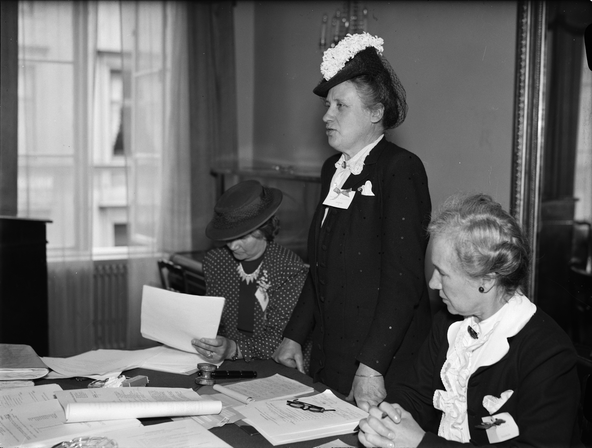 Paul Sandberg, The Chairman Célie Brunius speaks at the Swedish Women’s National Association’s fourth national meeting at the City Hotel
