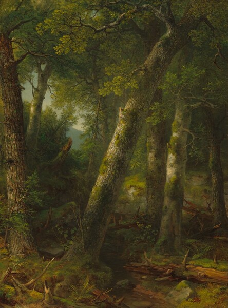Asher Brown Durand, Forest in the Morning Light