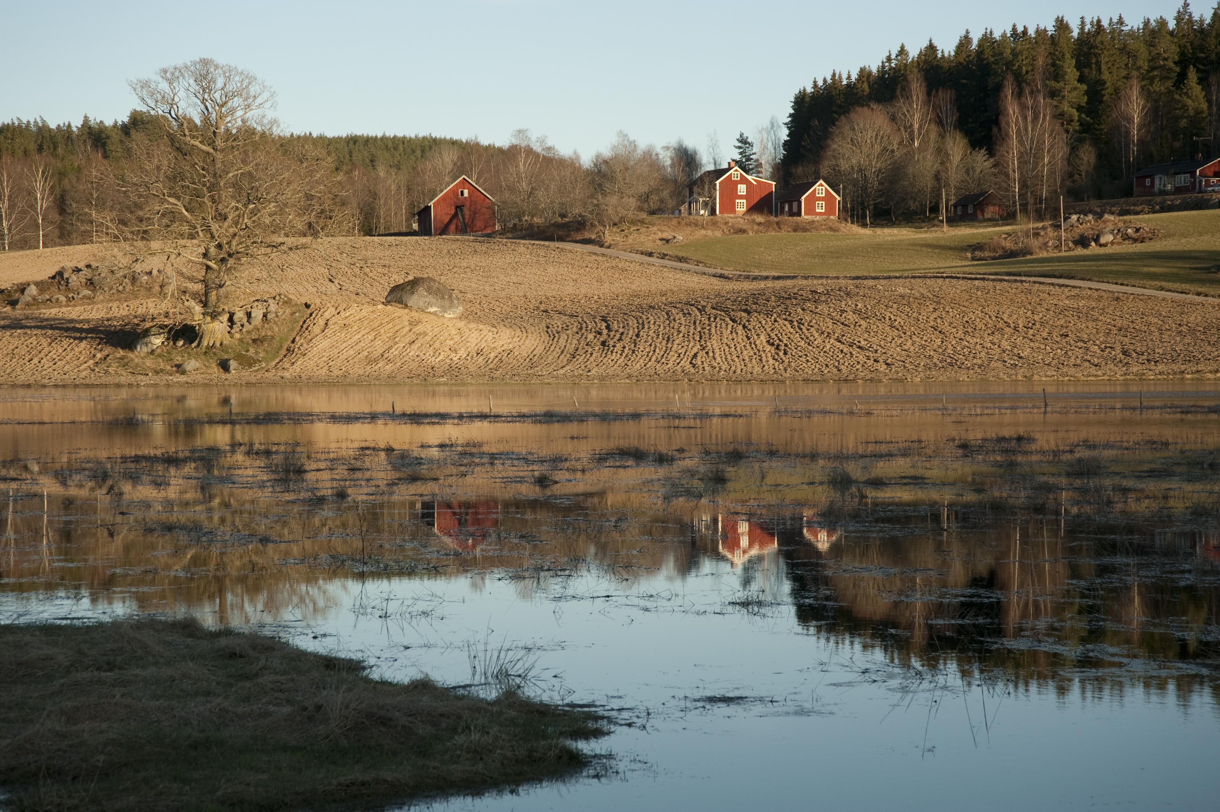 Bengt A Lundberg, Kisa
