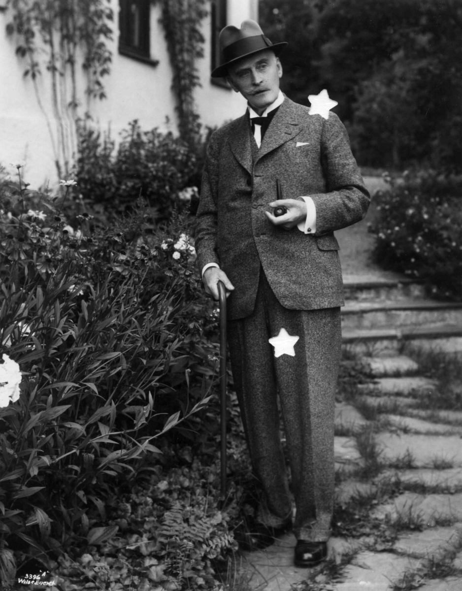 Anders Beer Wilse, Hamsun