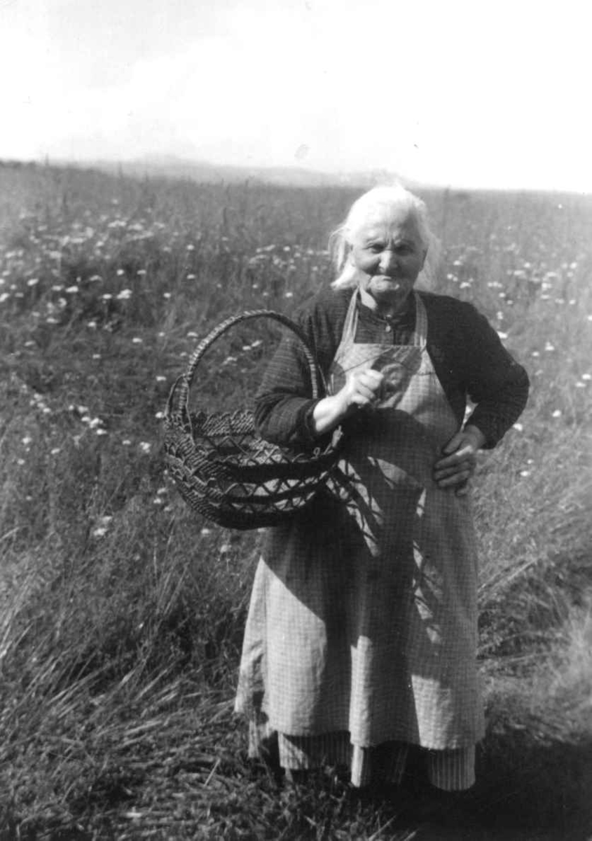 Anna Grostøl, Portrett av Kari Olsdatter Bargos med kurv over armen. Brekken eller Røros, Sør-Trøndelag 1938.