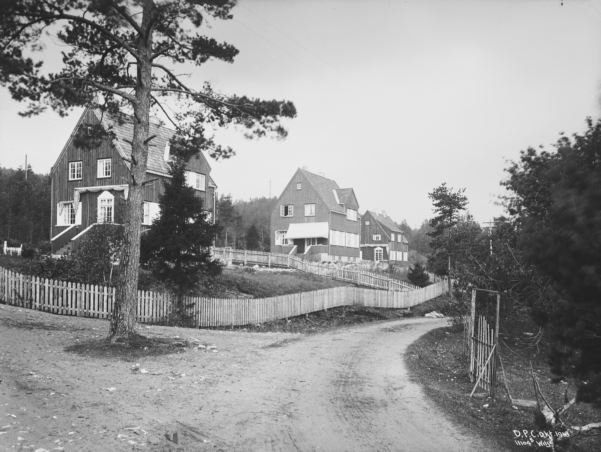 Anders Beer Wilse, Prot: Dalen Portland Cement, Brevik