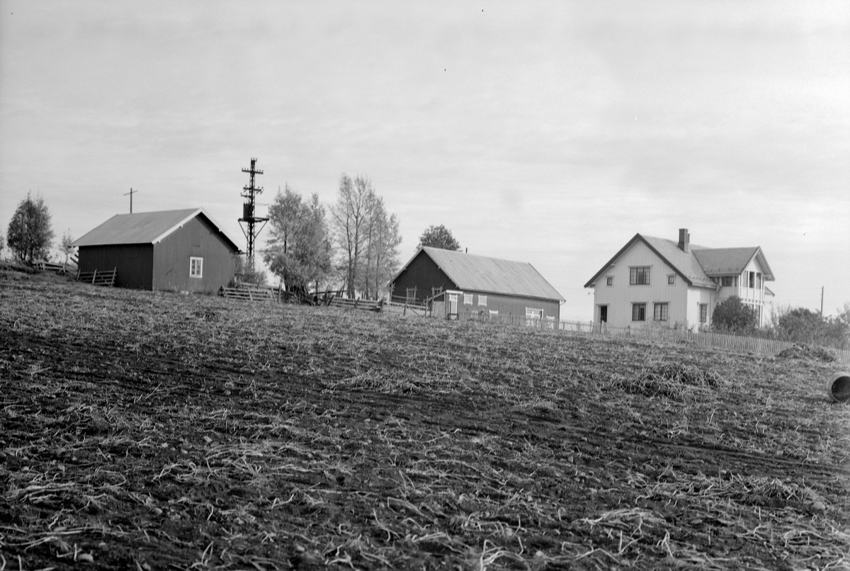 Anno Domkirkeodden, EKSTR: GARDSTUN, IHRSTAD, LØTEN. Se Løtenboka, bind 1. Bygdeboka fra 1949, side 655