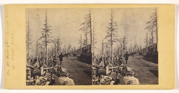 John P. Soule, [On Mt. Washington Carriage Road at Silver Forest]