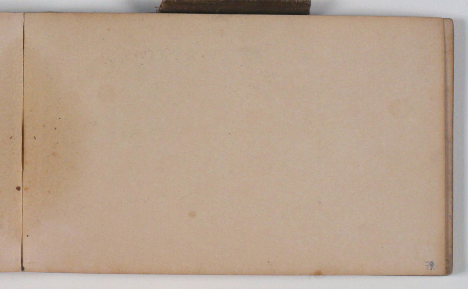 Niels Larsen Stevns, Blank