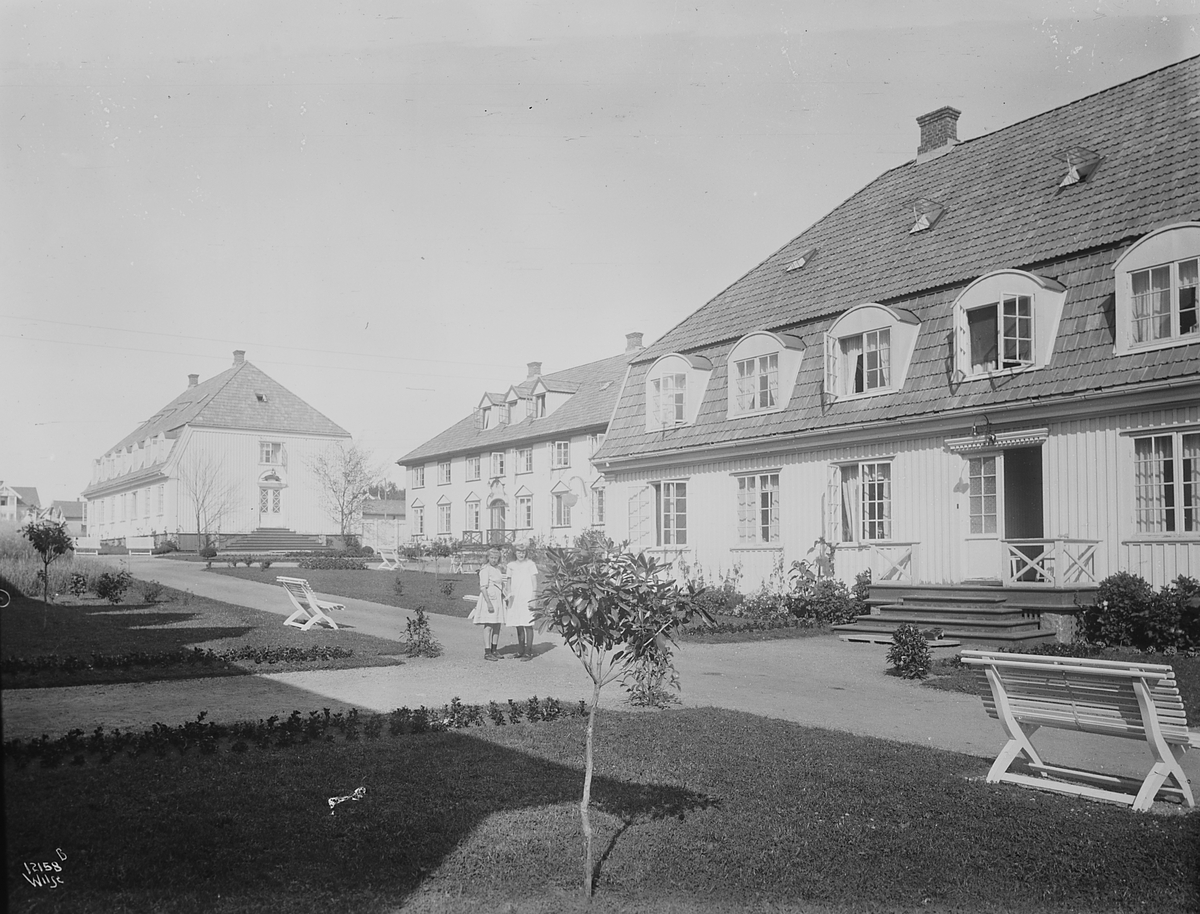 Anders Beer Wilse, Konv: Larvik bad/villa dama, tema, russia