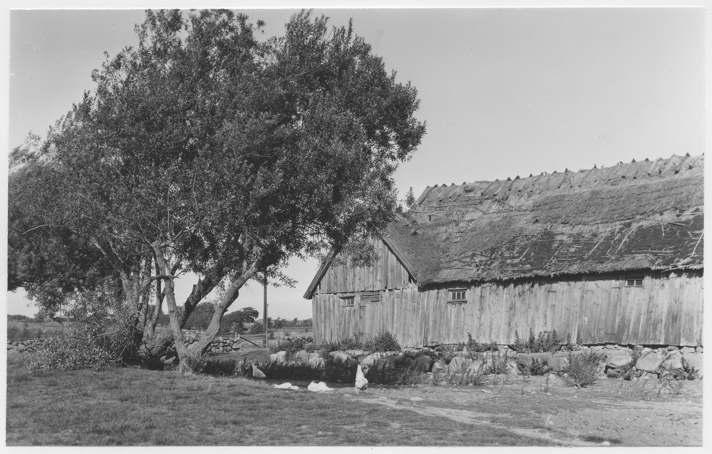 Mårten Sjöbeck, Ås