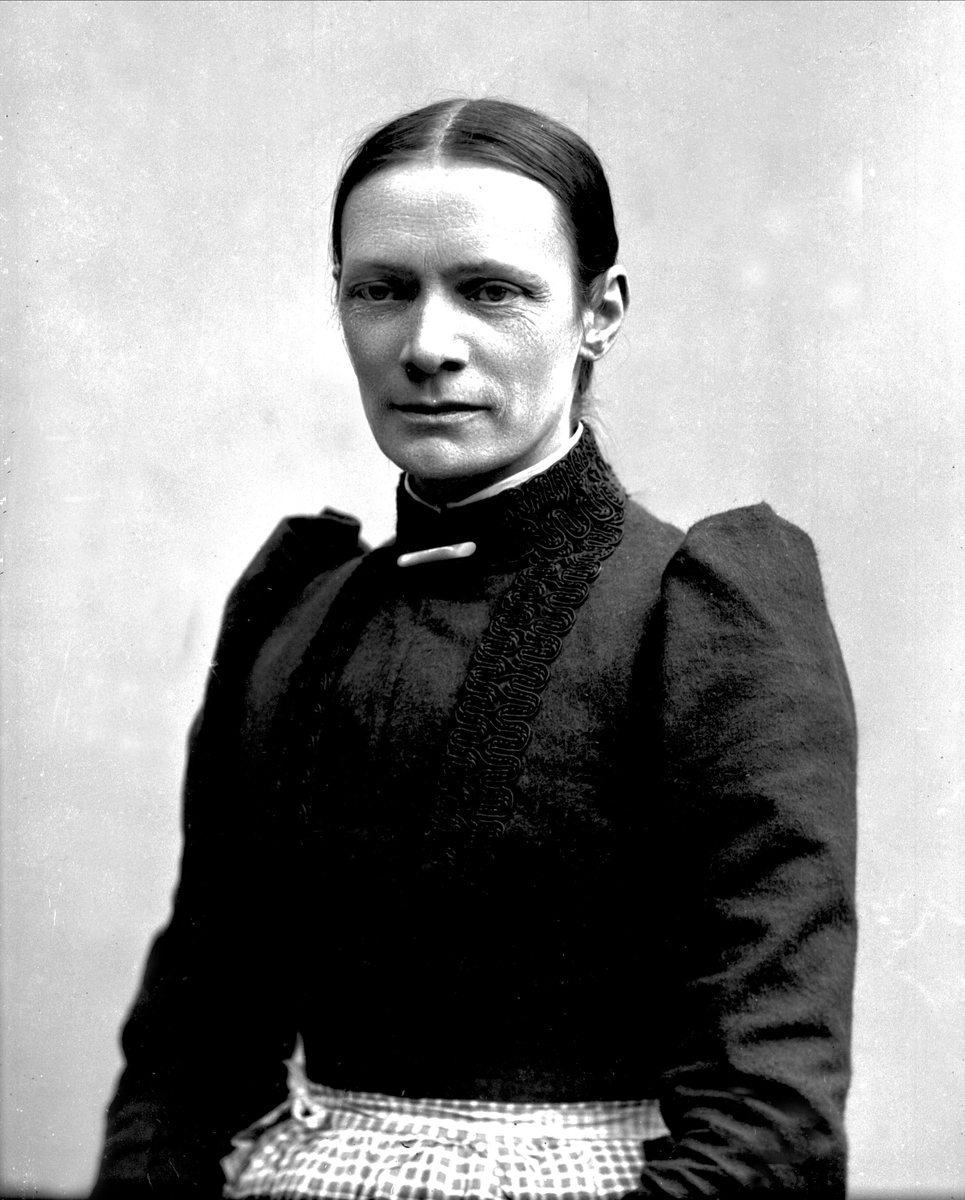 Gustav Borgen, NFB.30712