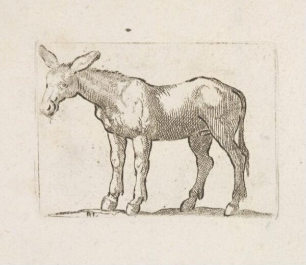 Unknown, Print