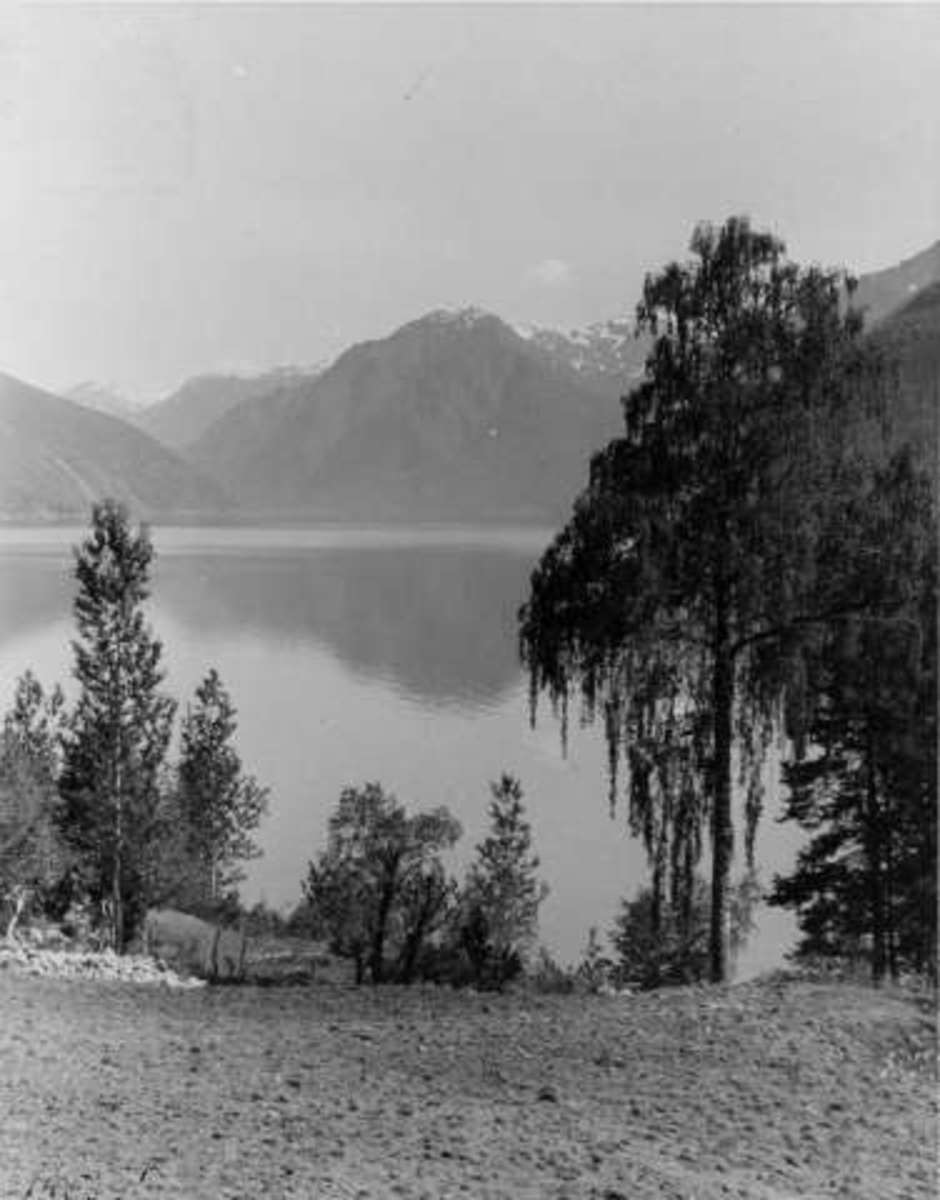 Anders Beer Wilse, -6565