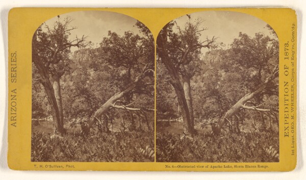 Timothy H. O'Sullivan, Obstructed view of Apache Lake, Sierra Blanca Range.