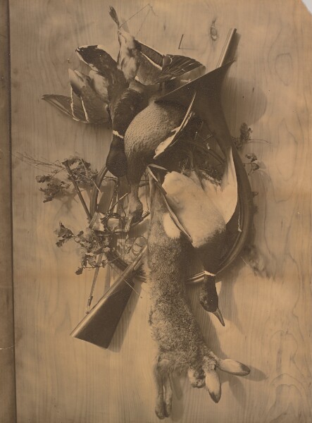Adolphe Braun, [Still Life: Dead Game]