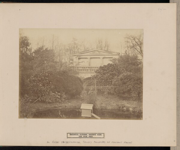 Roger Fenton, Zoological Gardens, Regents Park. The Duck Pond.