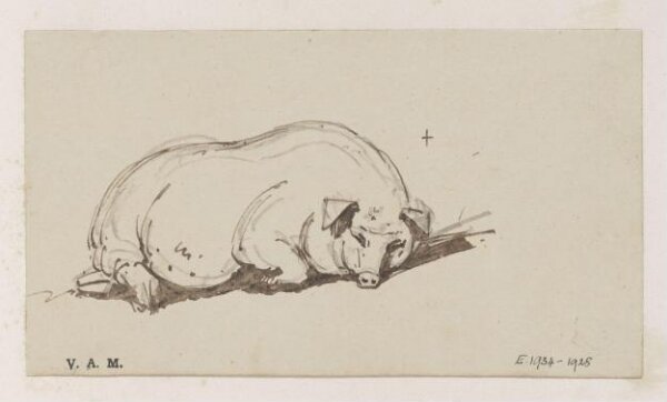 George Chinnery, A pig