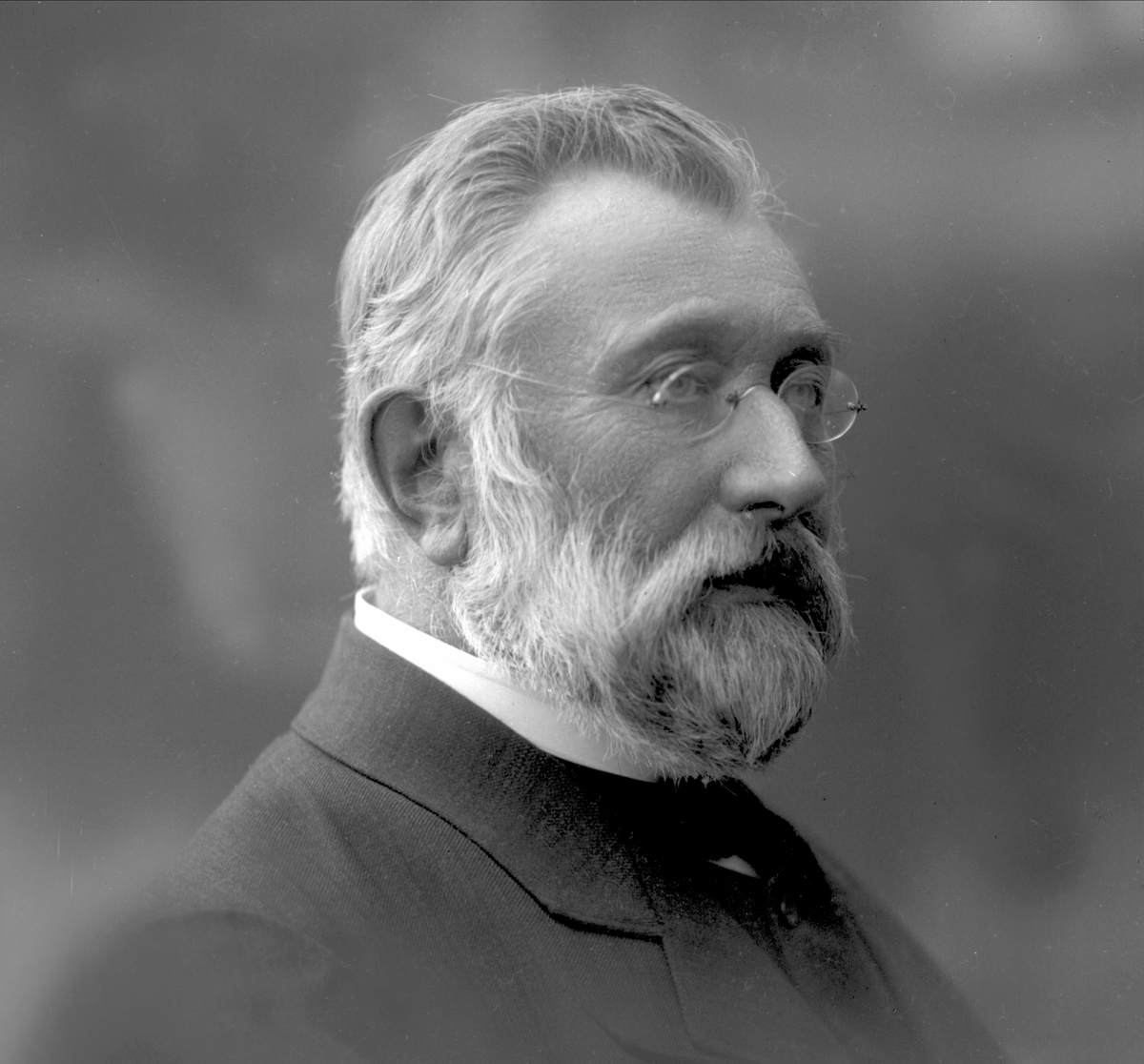 Gustav Borgen, NFB.29234