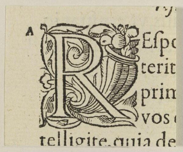 Unknown, Print