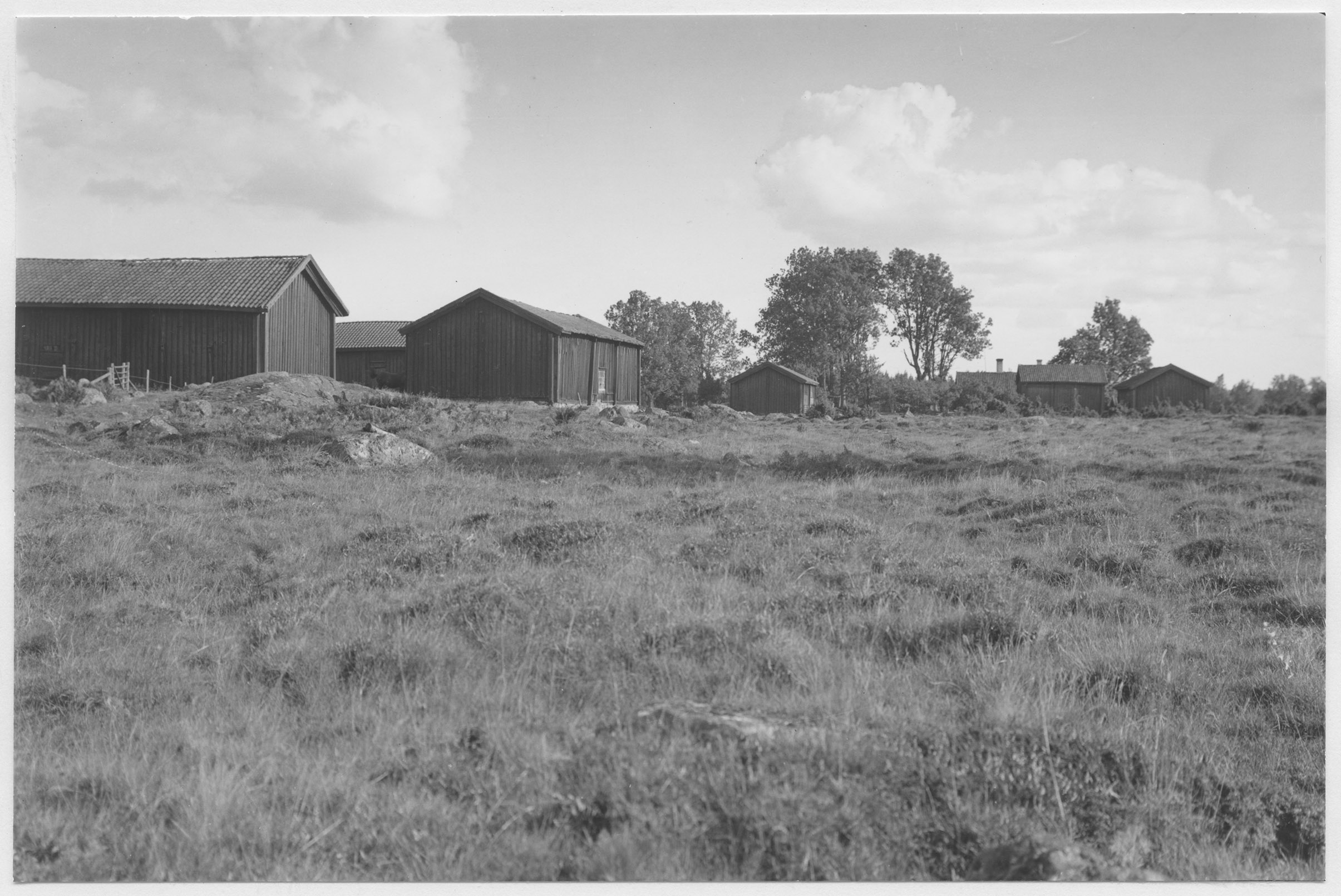 Mårten Sjöbeck, Harsboda