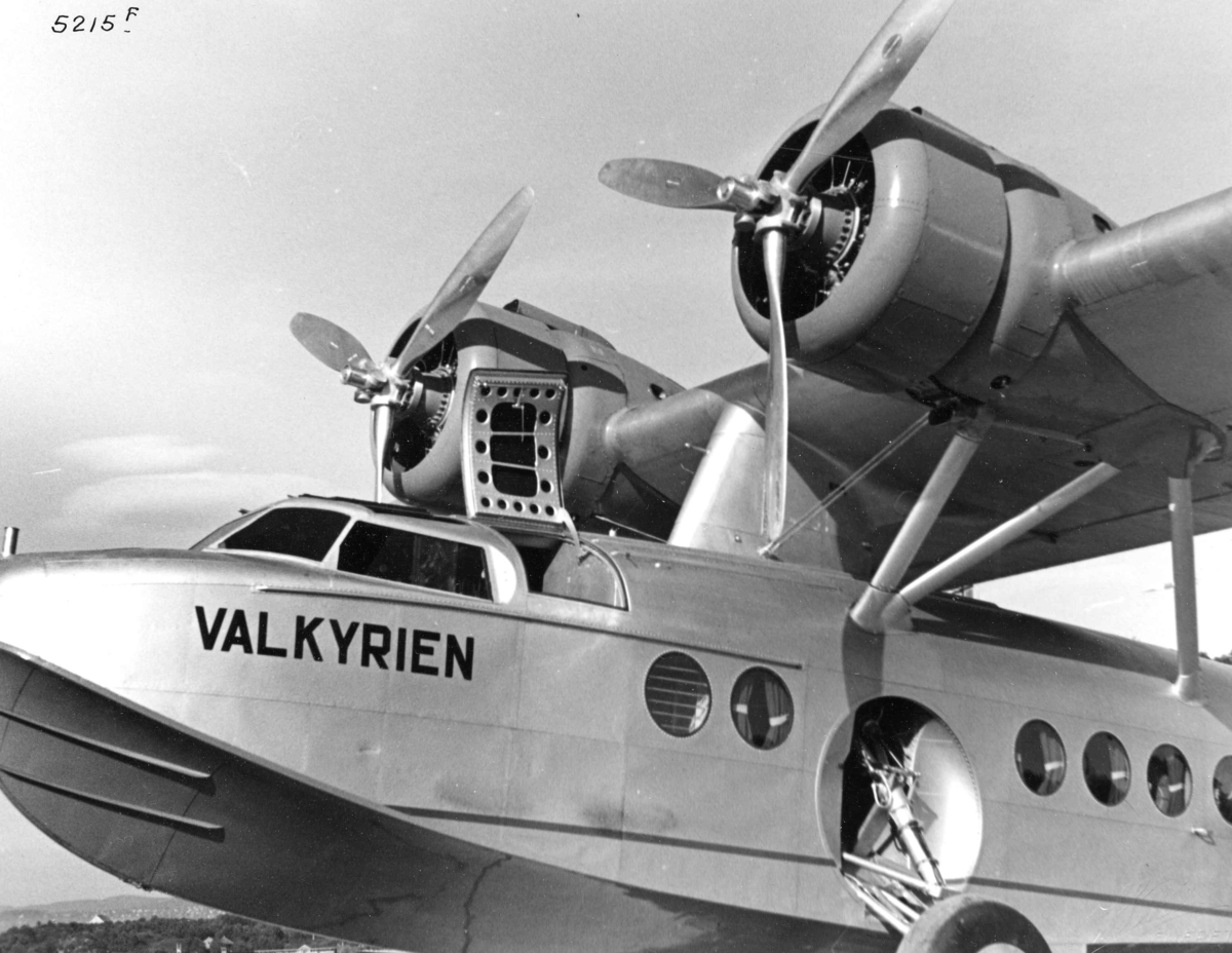 Anders Beer Wilse, Fly