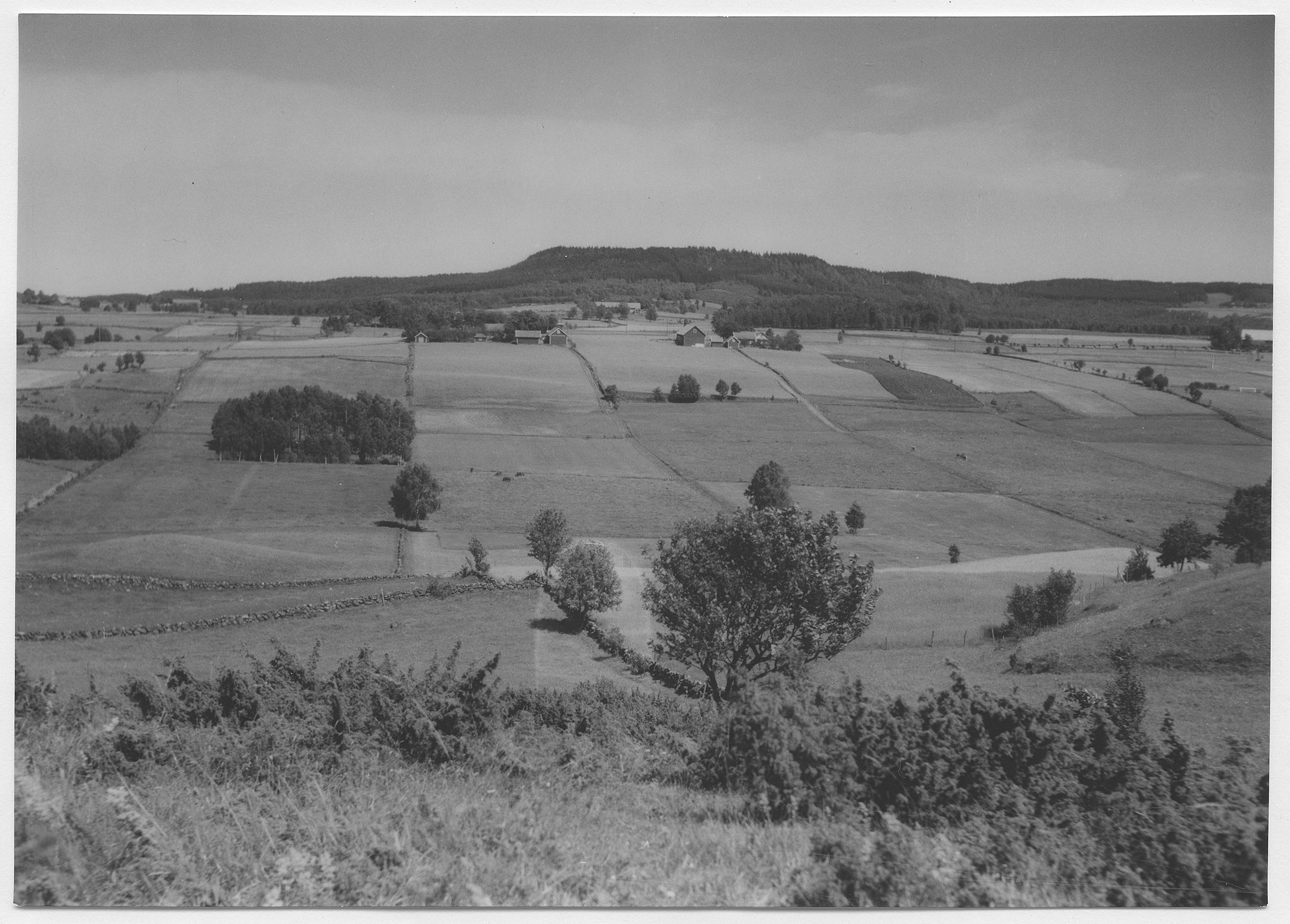 Mårten Sjöbeck, Falbygden sedd från Odens kulle vid Odensberg station