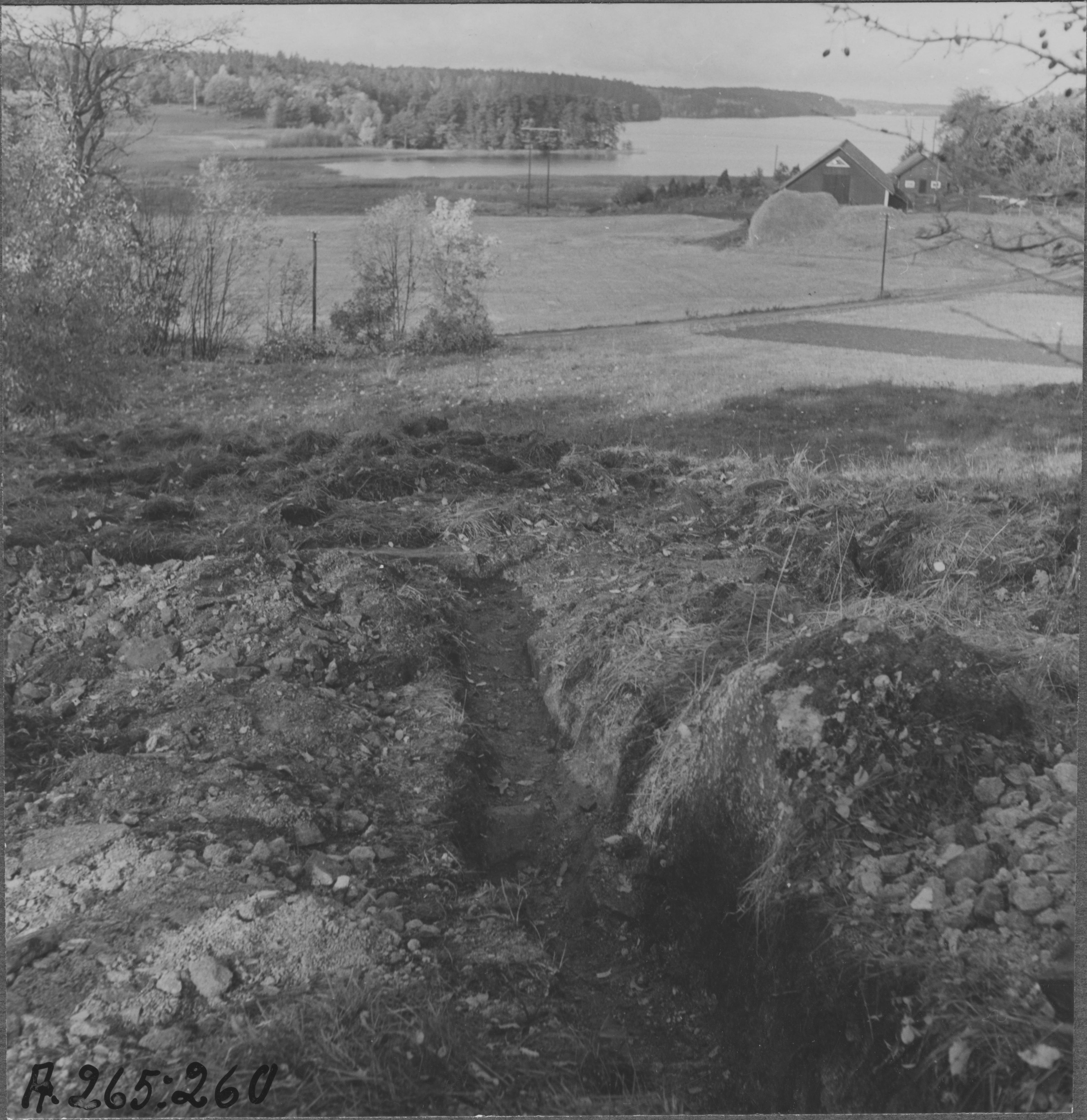 Åke Nisbeth, Grebo kyrka