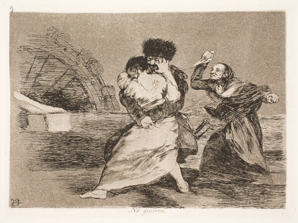 Francisco de Goya, De vil ikke (9)