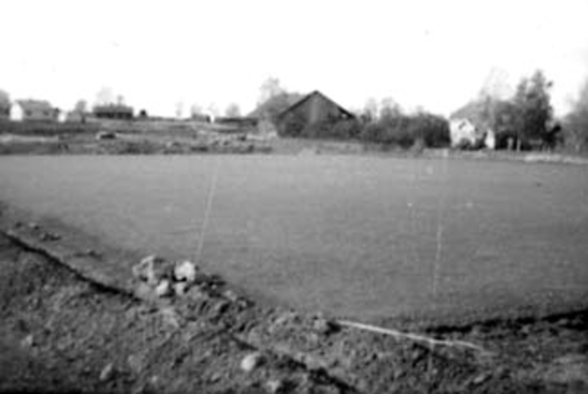 Anno Domkirkeodden, OVERSIKT LANDSKAP, BOLIGER, TORSTADGRENDA