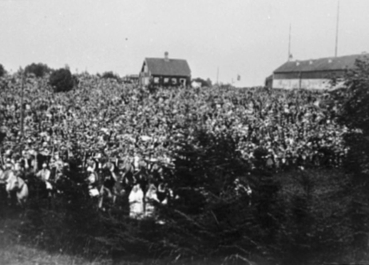 Anno Domkirkeodden, DOMKIRKEODDEN, 10 000 TILSKUERE, MUSEUMSKAFE, STORHAMARLÅVEN, FORMÅLET VAR INNKJØP AV DOMKIRKEODDEN TIL MUSEUMSOMRÅDE. HISTORISK OPPTOG OG PARADE I 1911.