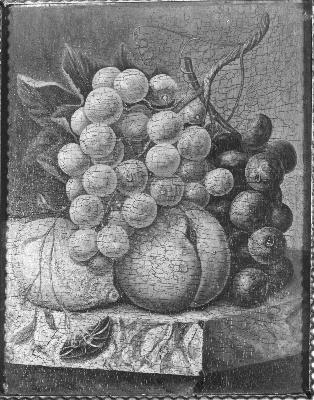 Diëgo Lopez Suasso, Vruchten