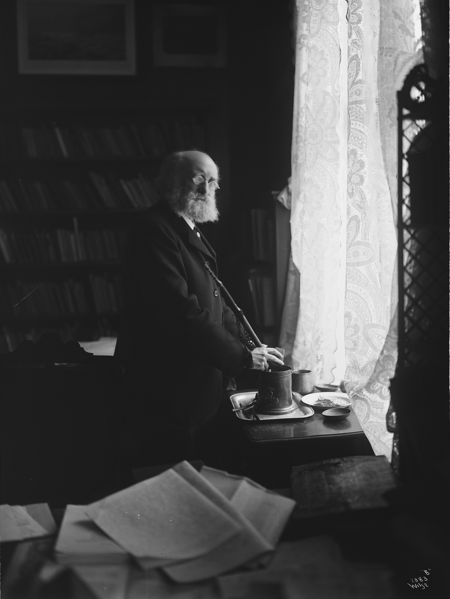 Anders Beer Wilse, Prot: Profesor Didrickson