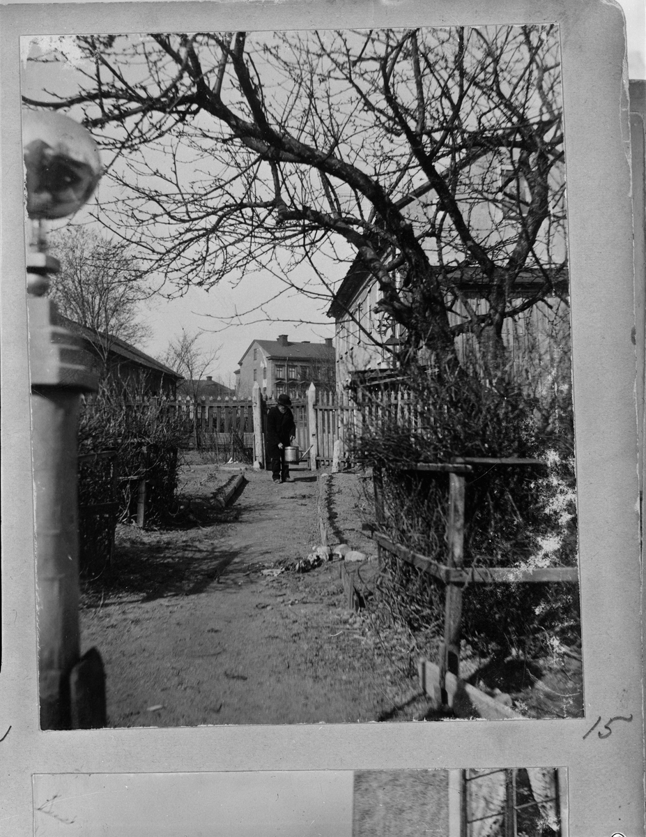 Carl Liljefors, Bokbindare Lars Lindqvist, kvarteret Edda, Svartbäcksgatan 37, Uppsala 1900 - 1901