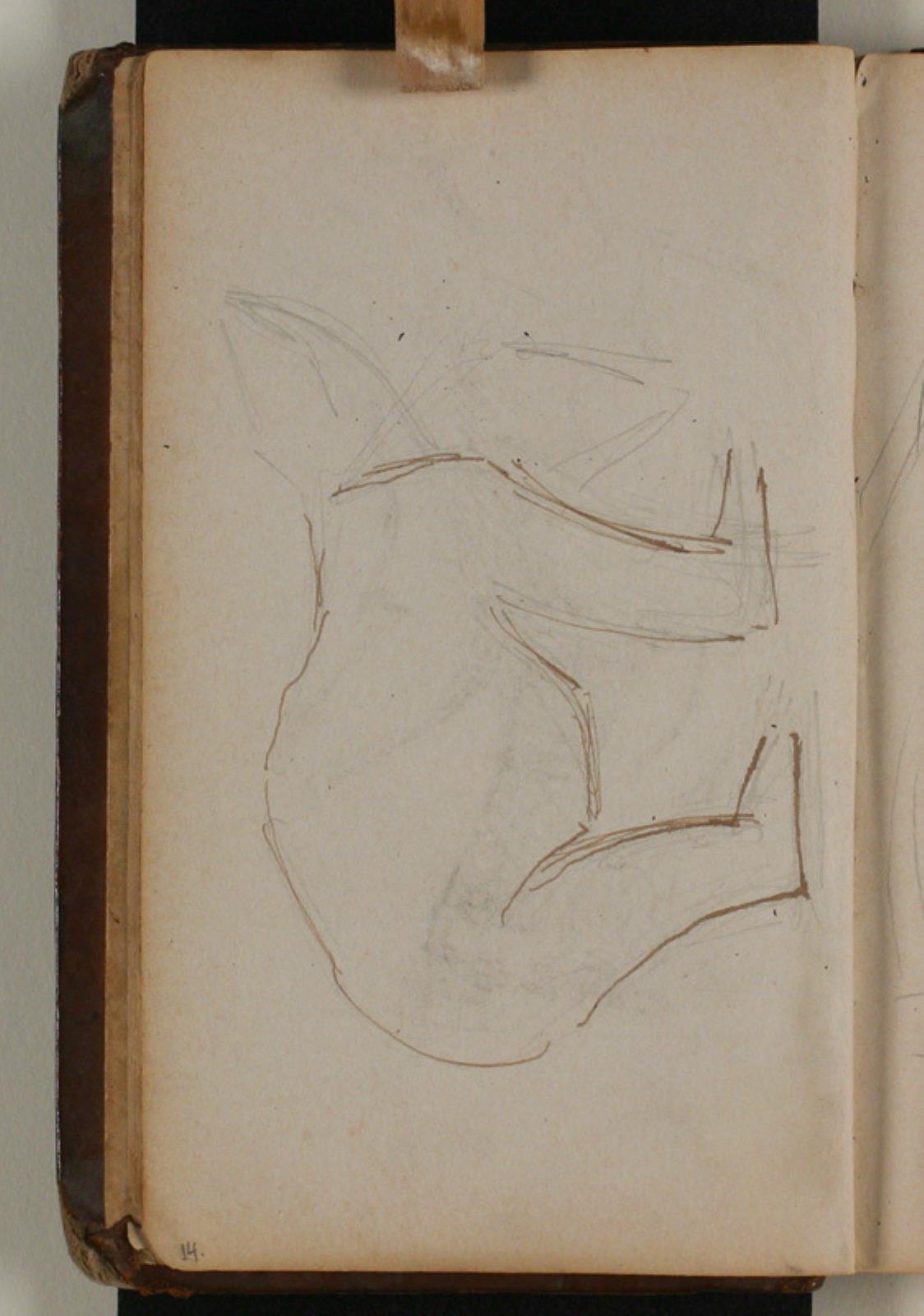 Niels Larsen Stevns, Studie af isbjørn
