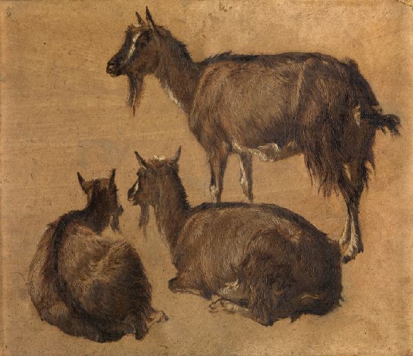 André Plumot, Goats