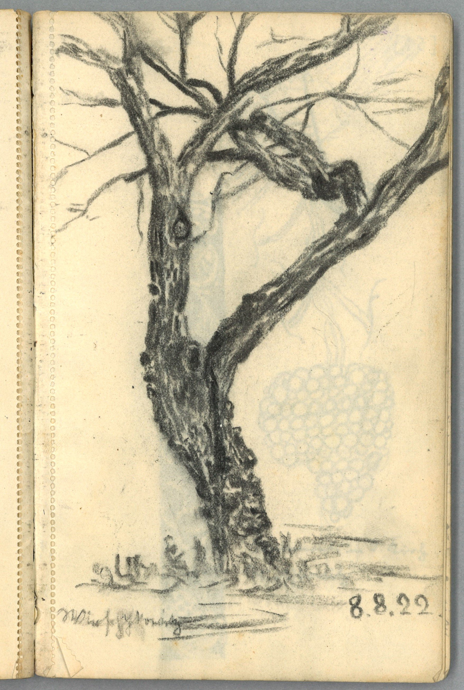 Margarete Wendel, Wirschkowitz (Kr. Militsch) (Schlesien): Baum