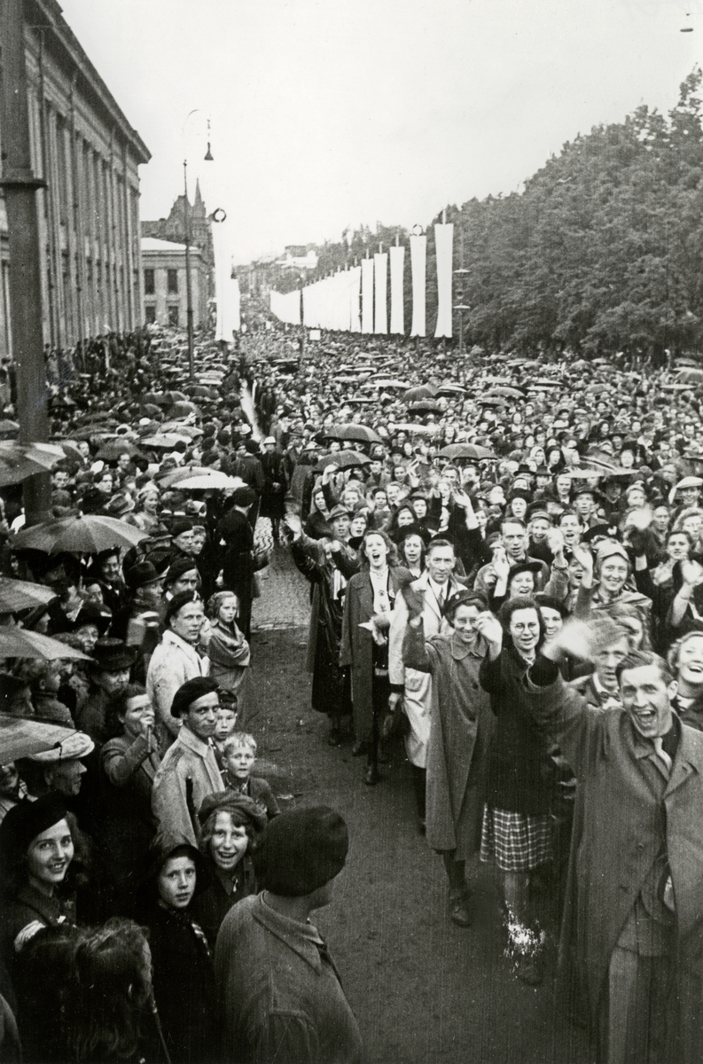 Anders Beer Wilse, Fra Oslo under fredsdagene i 1945.Fra marsjen på Karl Johans gate. Mange bærer paraply.