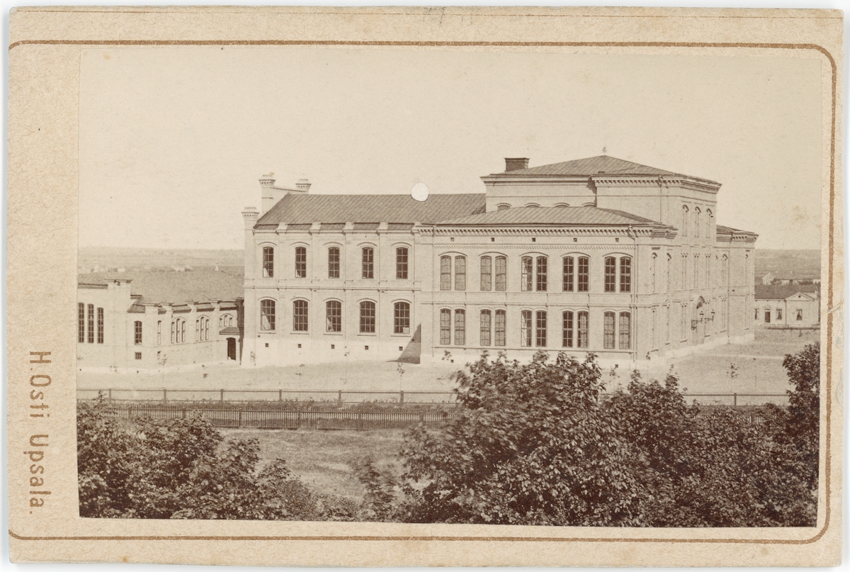 Henri Osti's Fotografiateliér, Kabinettsfotografi - Läroverket, Uppsala