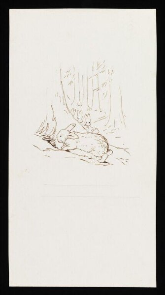 Potter, Beatrix, drawing