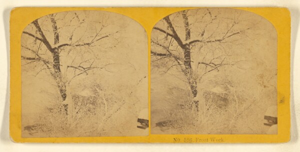 Benjamin West Kilburn, Frost Work.