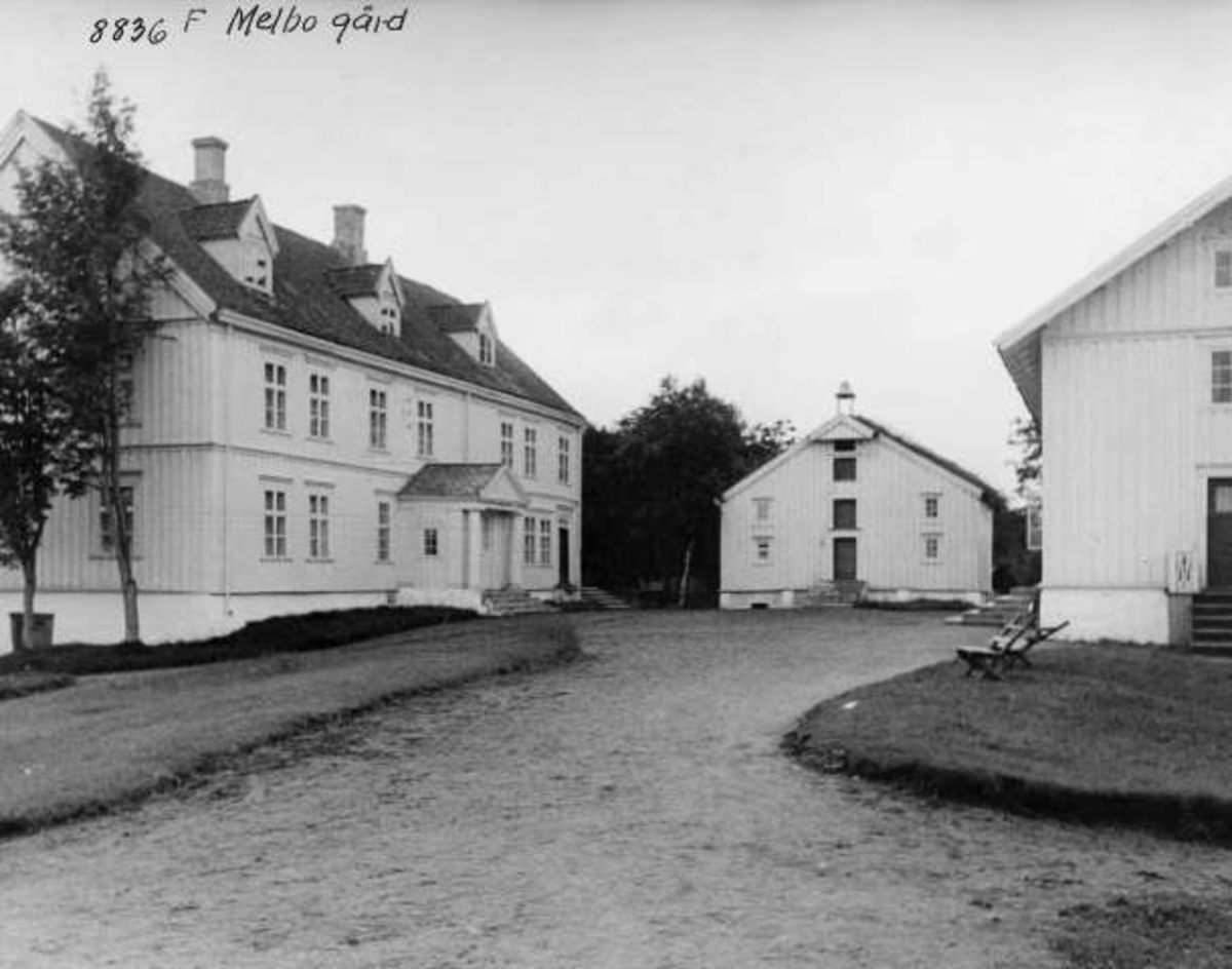 Anders Beer Wilse, -6392