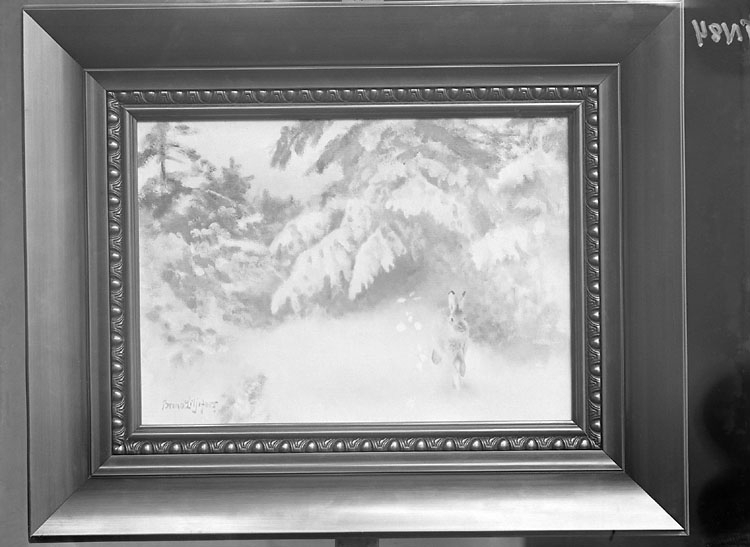 Thure Nihlén, Enligt senare noteringar: "Foto av tavla: oljemålning av Bruno Liljefors; "Hare i snö"."