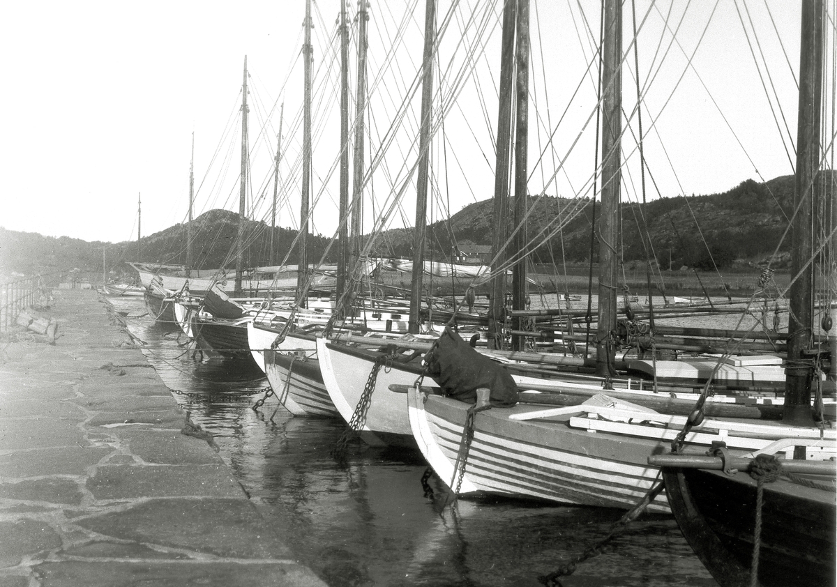 Anders Beer Wilse, Prot: Lodsstation Helgeroa sep. 1907