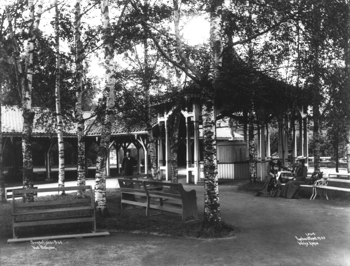 Anders Beer Wilse, Sande / Sandefjord / Tønsberg / Sandefjord Bad