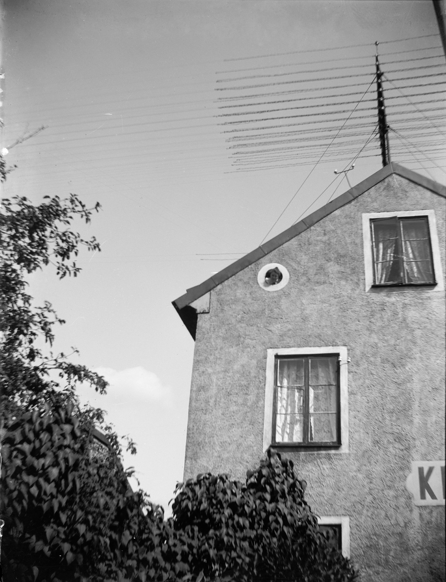 Carl Liljefors, "Elin i vindsgluggen", Svartbäcksgatan 37, kvarteret Edda, Svartbäcken, Uppsala 1900 - 1901
